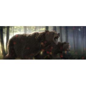 3D bear FUR RIGGED ANIMATED
